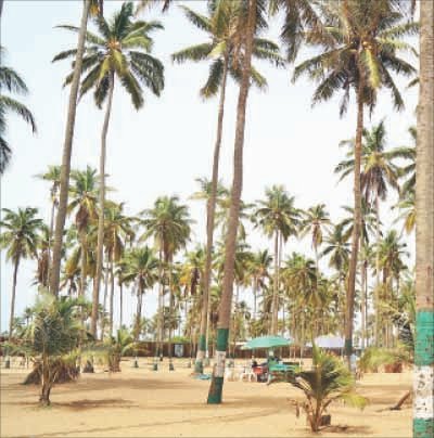 coconut beach badagry