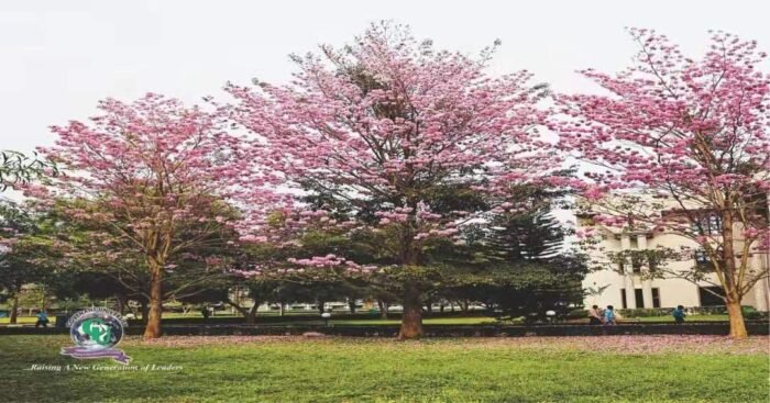 covenant university environment