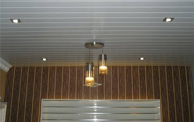 PVC ceiling 1