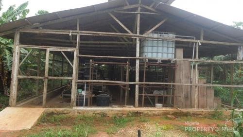 Poultry house in nigeria