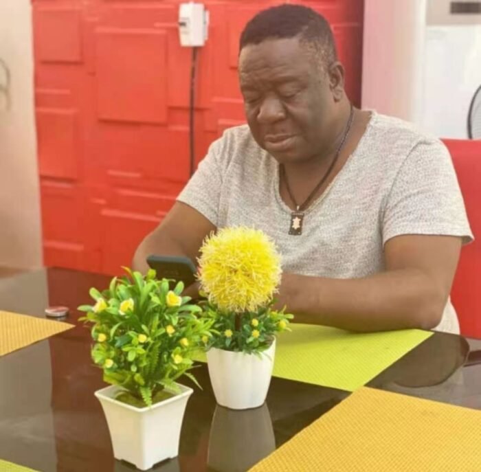 mr ibu