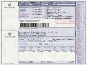 Drivers license template 