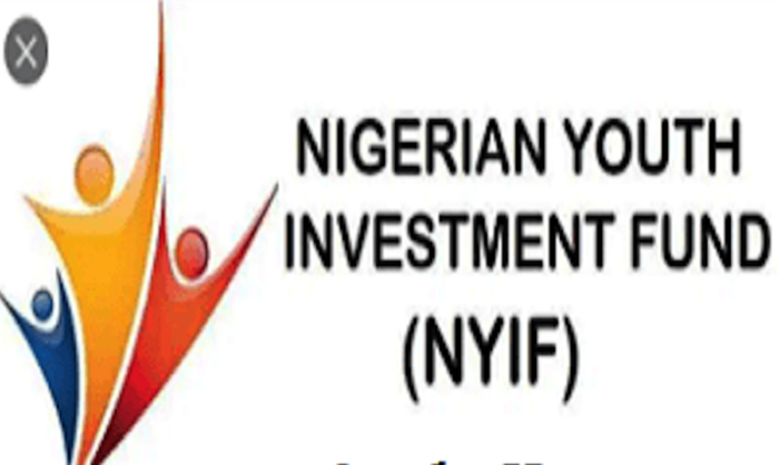 nigerian youth empowerment fund